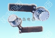 Explosion proof heater