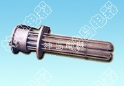 Explosion proof heater