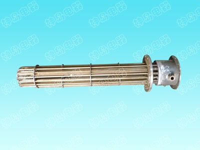 Explosion proof heater