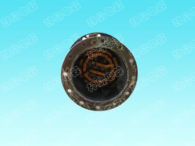 Explosion proof heater