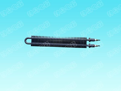 Radiator heater for passenge