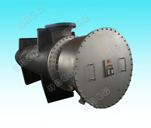 Explosion proof electric hea